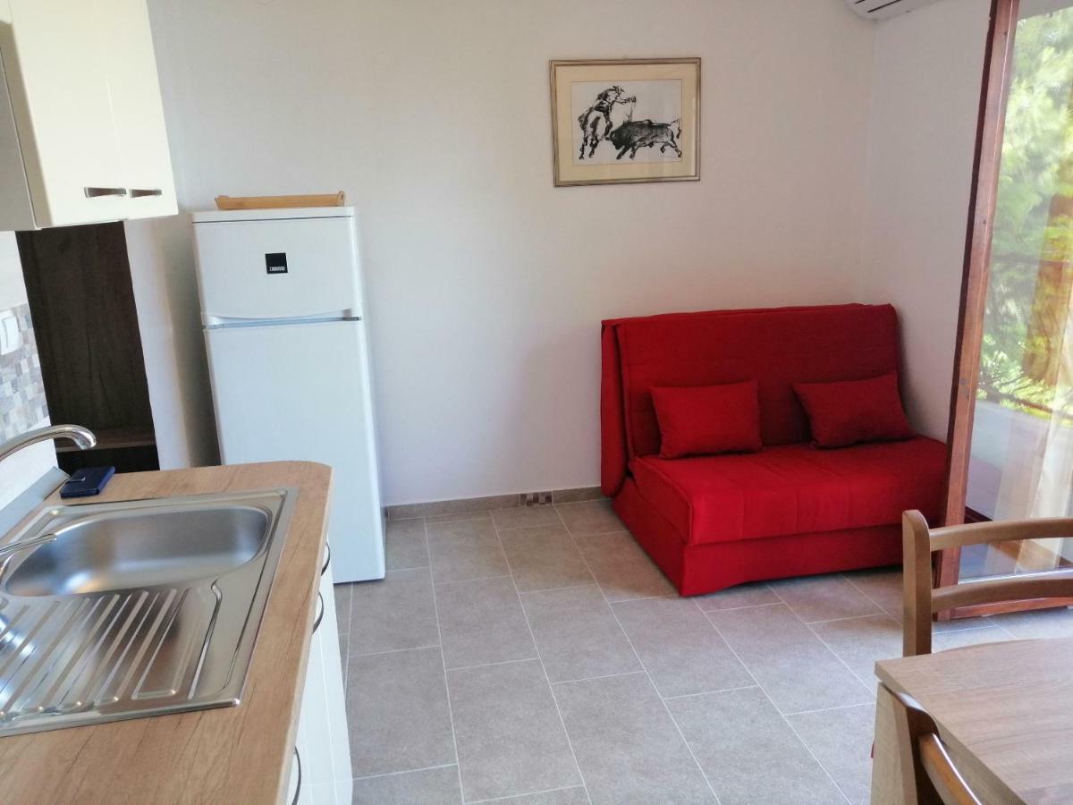And Caric * Jelsa (Hvar)